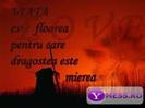 images (4)