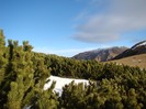DSC08965