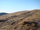 DSC08978