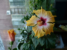 P1370136