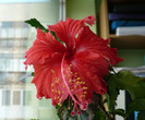 P1370401