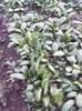 P1020260