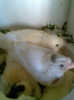 Imag044