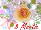 8 MARTIE