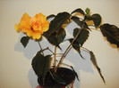 DSC01808