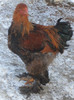 DSC01349