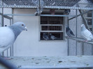 DSCF8551