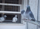 DSCF8562