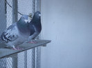 DSCF8569
