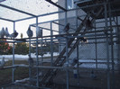 DSCF8613