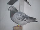 DSCF8743