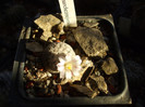 DSCF9437