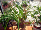 DSC02119
