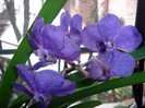 DSC02250