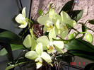 DSC02314