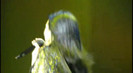 You Got Nothing On Me Demi Lovato Concert For Hope (152)