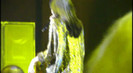 You Got Nothing On Me Demi Lovato Concert For Hope (162)