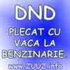 dnd plecat cu vaca la benzinarie