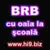 images (17)