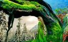 images (1)