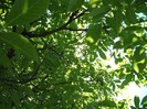 DSCF4951