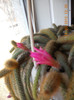 DSCN0084