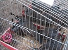 IMG_1843