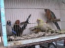 IMG_1845