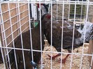 IMG_1849