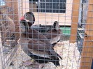 IMG_1852