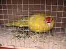 IMG_1878