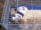 IMG_1883