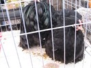 IMG_1886
