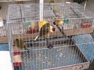 IMG_1894