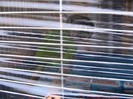 IMG_1910