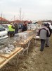 IMG_0146[1]