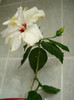 DSC01928