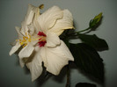 DSC01920