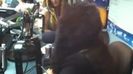 Demi on Kiss FM rocking her new hat (152)