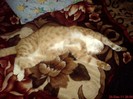 DSC03749