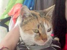 DSC03896