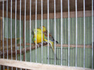 SDC13552