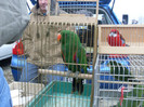 SDC13569