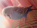 P270211_10.58_[01]