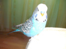 Picture 078