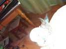 Picture 079