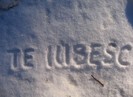 te iubesc (11)