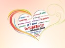 te iubesc (15)