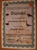 Diploma Nationala 2012 Brasov
