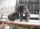 DSCF0454